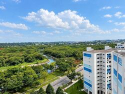 Evergreen Park (D19), Apartment #624167291